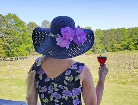 things to do at lake murray sc