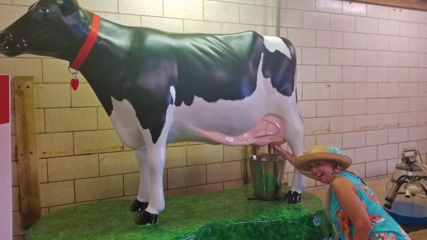 Instagram -Worthy Places in Henry County