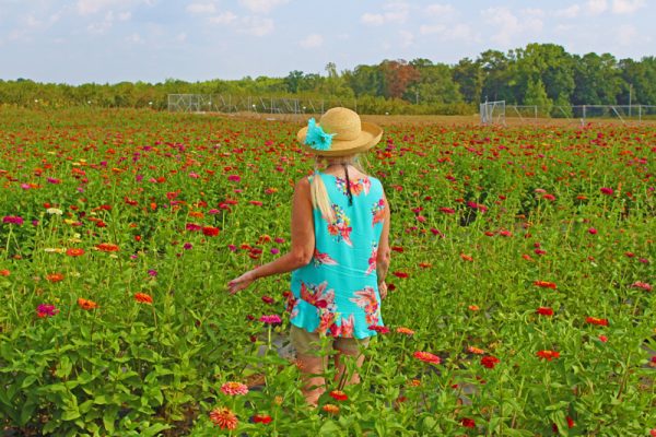 Southern Belle Farm GA